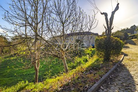 Farm i Guimaraes, Braga, Guimaraes - € 1.200.000 | Ref: ZMPT567167 - foto 31