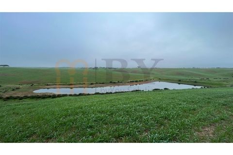 Landejendom i Beja, Beja, Beja - € 2.512.000 | Ref: BYS-1023 - foto 1