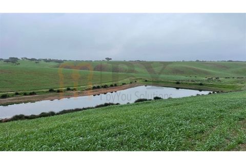 Landejendom i Beja, Beja, Beja - € 2.512.000 | Ref: BYS-1023 - foto 2