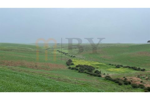 Landejendom i Beja, Beja, Beja - € 2.512.000 | Ref: BYS-1023 - foto 3