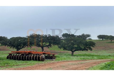 Landejendom i Beja, Beja, Beja - € 2.512.000 | Ref: BYS-1023 - foto 4