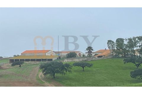 Landejendom i Beja, Beja, Beja - € 2.512.000 | Ref: BYS-1023 - foto 6