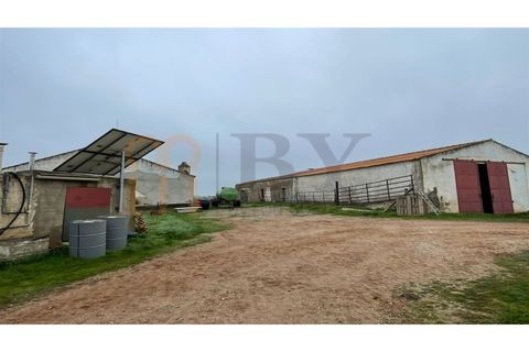 Landejendom i Beja, Beja, Beja - € 2.512.000 | Ref: BYS-1023 - foto 7