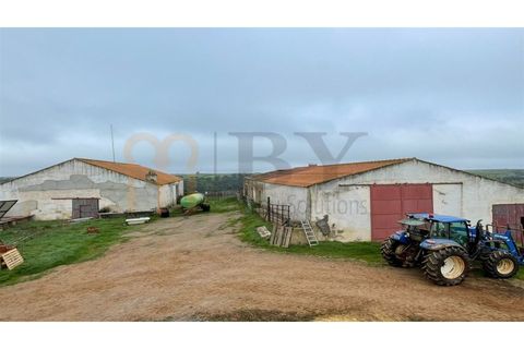 Landejendom i Beja, Beja, Beja - € 2.512.000 | Ref: BYS-1023 - foto 8