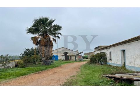 Landejendom i Beja, Beja, Beja - € 2.512.000 | Ref: BYS-1023 - foto 10