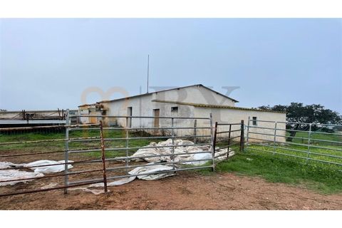Landejendom i Beja, Beja, Beja - € 2.512.000 | Ref: BYS-1023 - foto 12