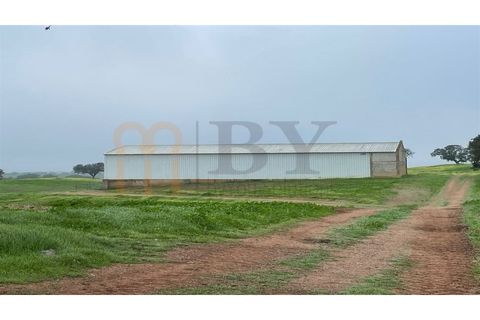 Landejendom i Beja, Beja, Beja - € 2.512.000 | Ref: BYS-1023 - foto 13