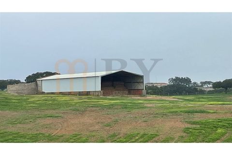 Landejendom i Beja, Beja, Beja - € 2.512.000 | Ref: BYS-1023 - foto 14