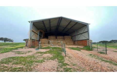 Landejendom i Beja, Beja, Beja - € 2.512.000 | Ref: BYS-1023 - foto 15