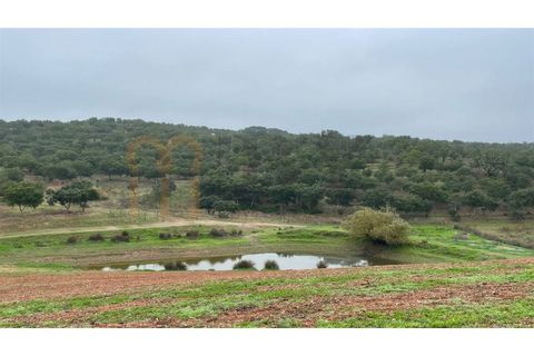 Landejendom i Beja, Beja, Beja - € 2.512.000 | Ref: BYS-1023 - foto 17