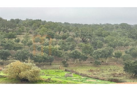 Landejendom i Beja, Beja, Beja - € 2.512.000 | Ref: BYS-1023 - foto 18
