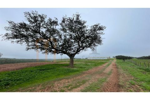 Landejendom i Beja, Beja, Beja - € 2.512.000 | Ref: BYS-1023 - foto 19