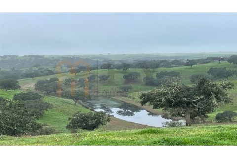 Landejendom i Beja, Beja, Beja - € 2.512.000 | Ref: BYS-1023 - foto 20