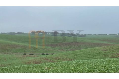 Landejendom i Beja, Beja, Beja - € 2.512.000 | Ref: BYS-1023 - foto 23