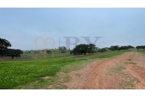 Landejendom i Beja, Beja, Beja - € 2.512.000 | Ref: BYS-1023 - foto 24