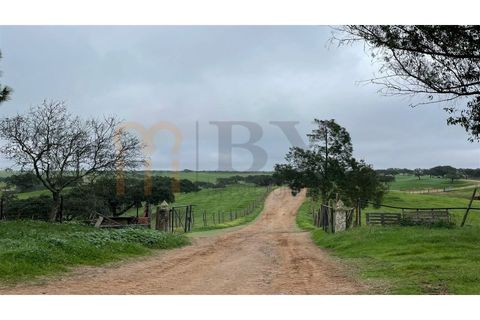 Landejendom i Beja, Beja, Beja - € 2.512.000 | Ref: BYS-1023 - foto 25
