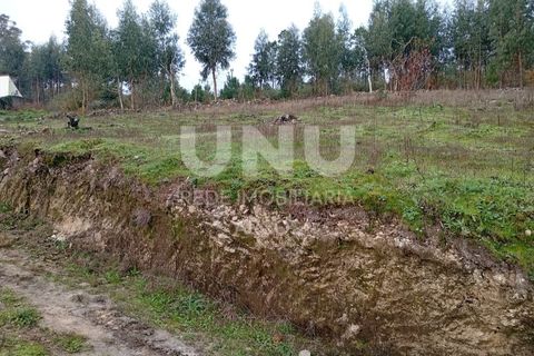 Helårsgrund i Arcos de Valdevez, Viana do Castelo, Arcos de Valdevez - € 47.000 | Ref: UNU.I.93.23362 - foto 11