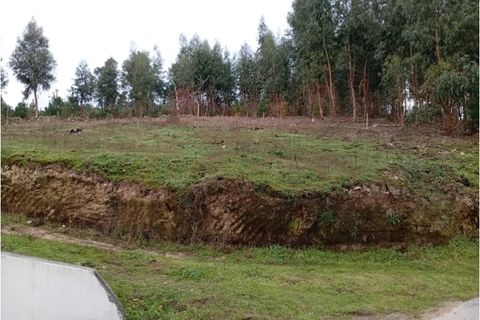 Helårsgrund i Arcos de Valdevez, Viana do Castelo, Arcos de Valdevez - € 47.000 | Ref: UNU.I.93.23362 - foto 16