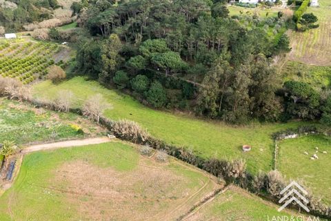 Helårsgrund i Mafra, Lisbon, Mafra - € 40.000 | Ref: LG3409 - foto 4