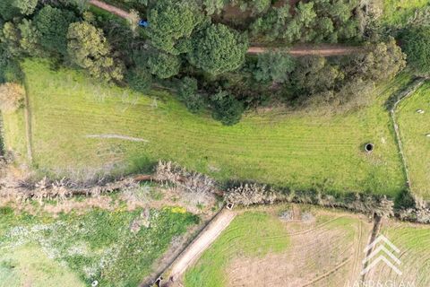 Helårsgrund i Mafra, Lisbon, Mafra - € 40.000 | Ref: LG3409 - foto 8