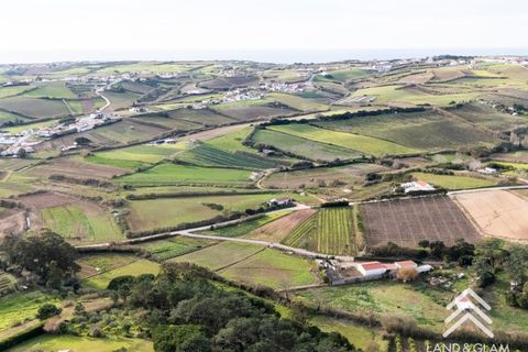 Helårsgrund i Mafra, Lisbon, Mafra - € 40.000 | Ref: LG3409 - foto 11