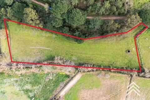 Helårsgrund i Mafra, Lisbon, Mafra - € 40.000 | Ref: LG3409 - foto 12