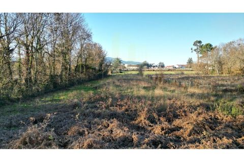 Tomt i Gandra e Taiao, Viana do Castelo, Gandra e Taiao - € 120 000 | Ref: B3138 - foto 4