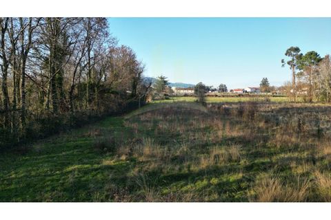 Tomt i Gandra e Taiao, Viana do Castelo, Gandra e Taiao - € 120 000 | Ref: B3138 - foto 5