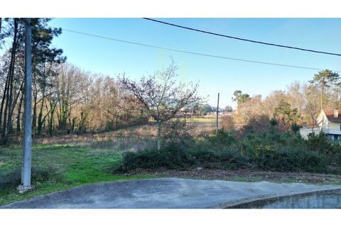 Tomt i Gandra e Taiao, Viana do Castelo, Gandra e Taiao - € 120 000 | Ref: B3138 - foto 6