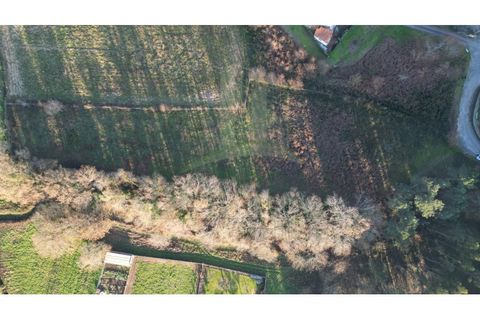 Tomt i Gandra e Taiao, Viana do Castelo, Gandra e Taiao - € 120 000 | Ref: B3138 - foto 7