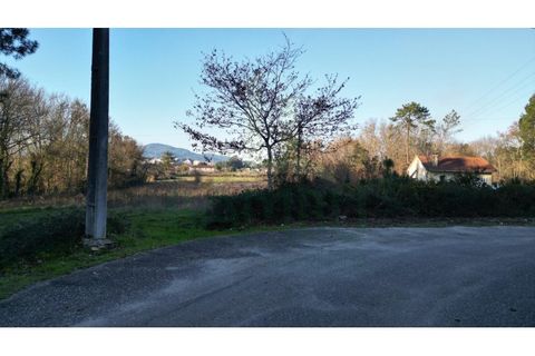 Tomt i Gandra e Taiao, Viana do Castelo, Gandra e Taiao - € 120 000 | Ref: B3138 - foto 8