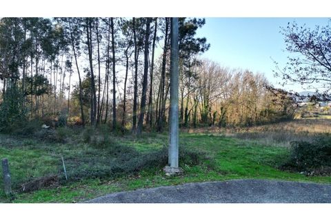 Tomt i Gandra e Taiao, Viana do Castelo, Gandra e Taiao - € 120 000 | Ref: B3138 - foto 9