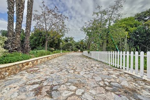 Villa i Benidorm, Alicante, Benidorm - € 3.200.000 | Ref: 5012 C - foto 29