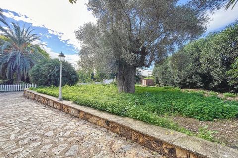 Villa i Benidorm, Alicante, Benidorm - € 3.200.000 | Ref: 5012 C - foto 48