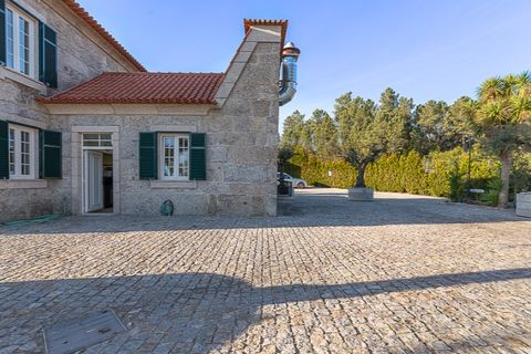 Farm i Penafiel, Porto, Penafiel - € 1.500.000 | Ref: PS-4659 - foto 3