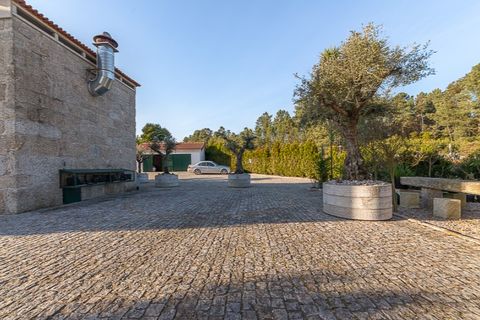 Farm i Penafiel, Porto, Penafiel - € 1.500.000 | Ref: PS-4659 - foto 6