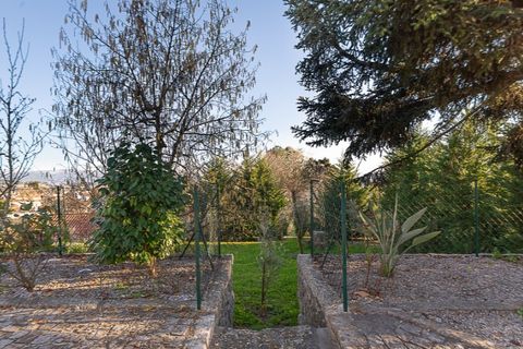 Farm i Penafiel, Porto, Penafiel - € 1.500.000 | Ref: PS-4659 - foto 11