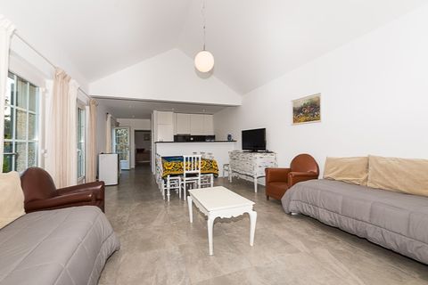 Farm i Penafiel, Porto, Penafiel - € 1.500.000 | Ref: PS-4659 - foto 41