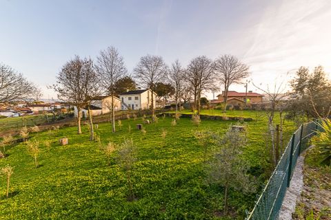 Farm i Penafiel, Porto, Penafiel - € 1.500.000 | Ref: PS-4659 - foto 46