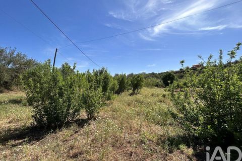 Byhus i Tavira, Faro, Tavira - € 945.000 | Ref: 110850 - foto 8