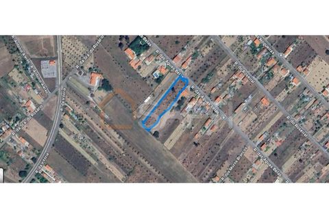 Helårsgrund i Abrantes, Santarem, Abrantes - € 45.000 | Ref: SAFTI:006296 - foto 1