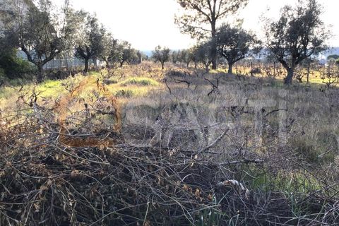 Helårsgrund i Abrantes, Santarem, Abrantes - € 45.000 | Ref: SAFTI:006296 - foto 2