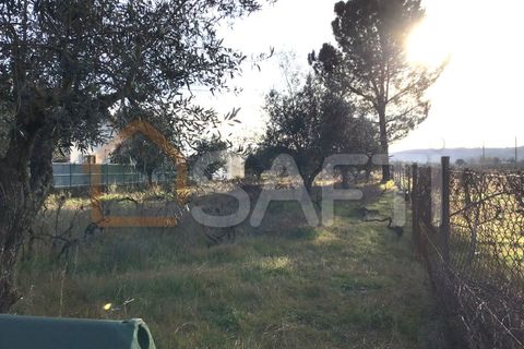Helårsgrund i Abrantes, Santarem, Abrantes - € 45.000 | Ref: SAFTI:006296 - foto 6