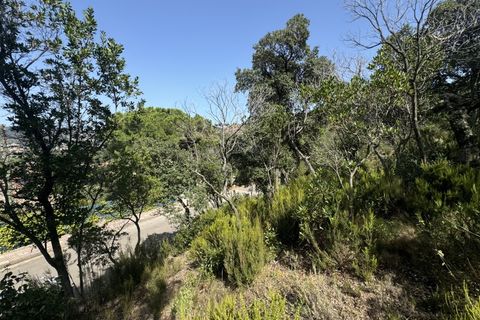 Helårsgrund i Bufaganyes, Gerona, Bufaganyes - € 150.000 | Ref: 239 - foto 8