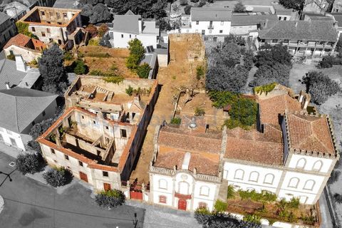 Villa i Tabua, Coimbra, Tabua - € 1.750.000 | Ref: 2012 - foto 4