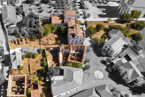 Villa i Tabua, Coimbra, Tabua - € 1.750.000 | Ref: 2012 - foto 6