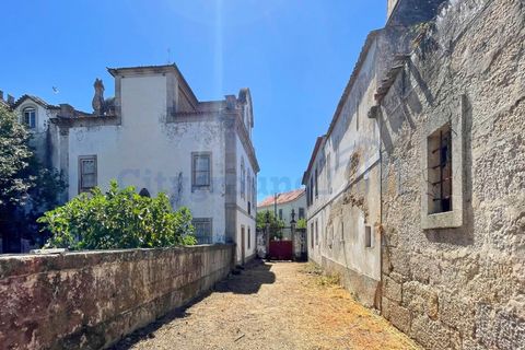 Villa i Tabua, Coimbra, Tabua - € 1.750.000 | Ref: 2012 - foto 13