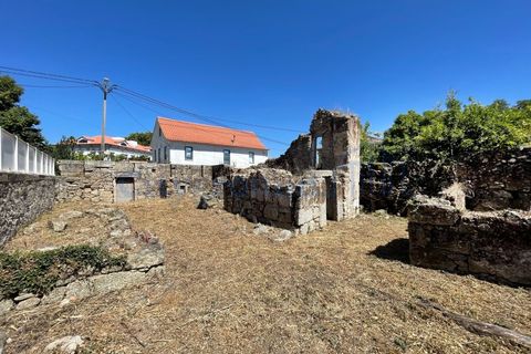 Villa i Tabua, Coimbra, Tabua - € 1.750.000 | Ref: 2012 - foto 14