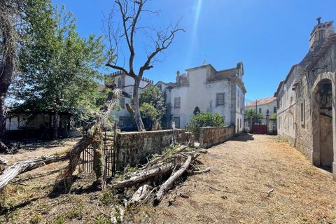 Villa i Tabua, Coimbra, Tabua - € 1.750.000 | Ref: 2012 - foto 15