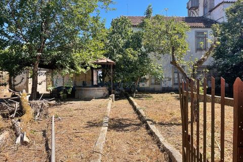 Villa i Tabua, Coimbra, Tabua - € 1.750.000 | Ref: 2012 - foto 16